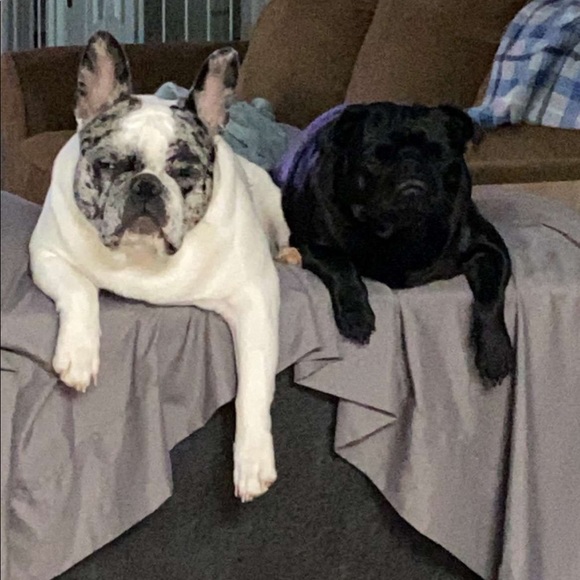 Meet your Posher, Shelly - Picture 6 of 6